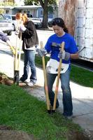 los angeles, 9 de febrero - theresa castillo cavando un nuevo agujero para el poste de la cerca en el cuarto hospital general, hábitat para la humanidad, día de construcción de fanáticos en la calle 191 e marker el 9 de febrero de 2013 en long beach, ca foto