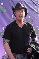 LOS ANGELES, OCT 20 - Todd Newton at the Hub Network First Annual Halloween Bash at Barker Hanger on October 20, 2013 in Santa Monica, CA photo