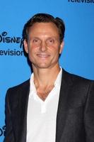 LOS ANGELES, AUG 4 - Tony Goldwyn arrives at the ABC Summer 2013 TCA Party at the Beverly Hilton Hotel on August 4, 2013 in Beverly Hills, CA photo