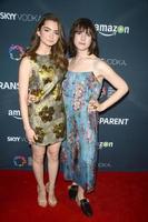 LOS ANGELES, NOV 9 - Emily Robinson, Hari Nef at the Transparent Season Two Red Carpet Premiere at the Pacific Design Center on November 9, 2015 in West Hollywood, CA photo