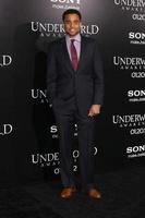 LOS ANGELES, JAN 19 - Michael Ealy
 arrives at the Underworld Awakening Los Angeles Premiere at Graumans Chinese Theater on January 19, 2012 in Los Angeles, CA photo
