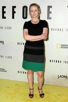LOS ANGELES, OCT 24 - Thora Birch at the Screening Of National Geographic Channel s Before The Flood at Bing Theater At LACMA on October 24, 2016 in Los Angeles, CA photo