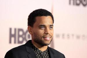 LOS ANGELES, MAR 5 - Michael Ealy at the Westworld Season 3 Premiere at the TCL Chinese Theater IMAX on March 5, 2020 in Los Angeles, CA photo