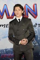 LOS ANGELES, DEC 13 - Tom Holland at the Spider-Man - No Way Home Premiere at the Village Theater on December 13, 2021 in Los Angeles, CA photo