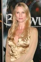 Nicollette Sheridan Beowulf  PremiereMann s Village TheaterLos Angeles, CANovember 5, 20072007 Kathy Hutchins   Hutchins Photo