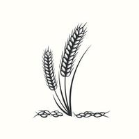 Hand drawn black and white silhouette of wheat ears cereals barley illustration in vintage and retro style on white background vector