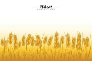 Wheat field background. Golden wheat ears of cereals with wheat tree and wheat leaf on white background vector