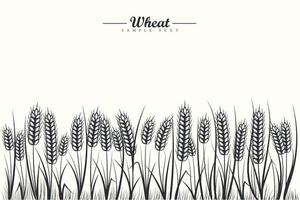 Black and white wheat cereals field background with wheat ears and wheat leaf on white background vector