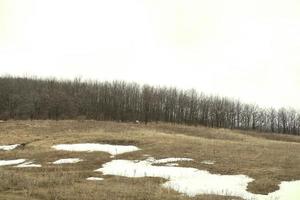 hills with pieces of snow. The melting of the snow on the fields in early spring. Spring colors. Brown toning. Spring forest on the hill. Trees without foliage. Gloomy forest photo