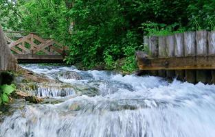 small waterfall in the forest. Summer landscape with greenery in summer photo