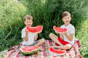 Funny little kids white t-shirt eating watermelon on green grass on nature at summer day. Brothers outdoors. Children eat fruit at garden. Childhood, Family, Healthy Eating. photo