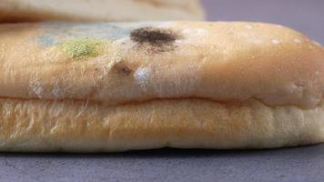 Mold on bread, expired bread close up video