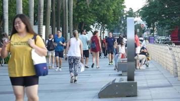 affollato passerella, persone a piedi su il strada, all'aperto, Domenica umore video