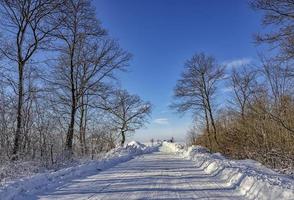 Empty snow covered road in winter landscape photo