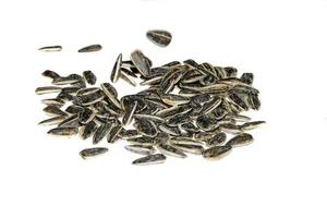 Closeup of black baked sunflower seeds isolated on white background photo