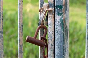 A rusty padlock hangs on a closed gate. photo