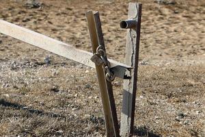 A rusty padlock hangs on a closed gate. photo