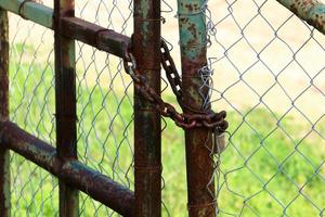 A rusty padlock hangs on a closed gate. photo