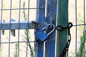 A rusty padlock hangs on a closed gate. photo