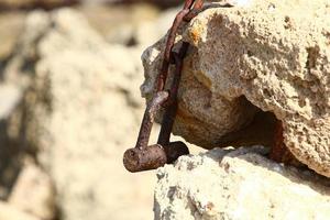 A rusty padlock hangs on a closed gate. photo