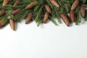Holidays greeting card or banner composition with pine tree branches. Merry Christmas background and Happy New Year 2023. photo