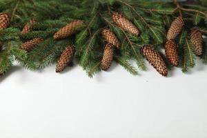 Holidays greeting card or banner composition with pine tree branches. Merry Christmas background and Happy New Year 2023. photo