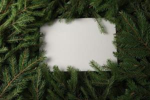 tarjeta de felicitación navideña o composición de banner con ramas de pino. fondo de feliz navidad y feliz año nuevo 2023. foto