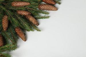 Holidays greeting card or banner composition with pine tree branches. Merry Christmas background and Happy New Year 2023. photo