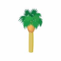 Palm tropical tree icon, cartoon style vector