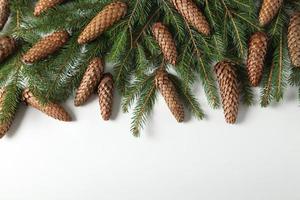 Holidays greeting card or banner composition with pine tree branches. Merry Christmas background and Happy New Year 2023. photo