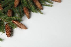 Holidays greeting card or banner composition with pine tree branches. Merry Christmas background and Happy New Year 2023. photo