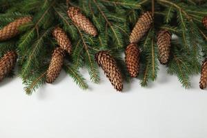 Holidays greeting card or banner composition with pine tree branches. Merry Christmas background and Happy New Year 2023. photo