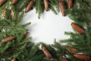 Holidays greeting card or banner composition with pine tree branches. Merry Christmas background and Happy New Year 2023. photo