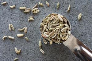 Fennel Seeds Spilled from a Teaspoon photo