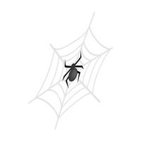 A spider and a web isometric 3d icon vector