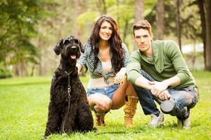 pareja joven con schnauzer gigante foto