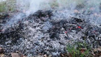 Fumo e falò siamo ardente foglie, pulizia e eliminando grande importi di foglia autunno durante il asciutto stagione, ma distruttivo rimozione, generando Di Più carbonio biossido. video