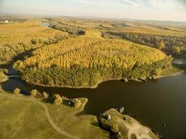 Golden Forest view photo