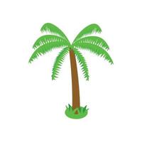 Palm tropical tree icon, isometric 3d style vector