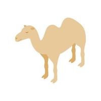 Camel icon, isometric 3d style vector