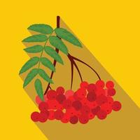 Branch of red rowan flat icon vector