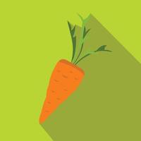 Carrot icon in flat style vector