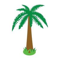 Palm tropical tree icon, isometric 3d style vector