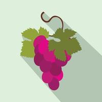 icono de racimo de uvas, tipo plano vector