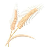 Two stalks of ripe barley cartoon icon vector