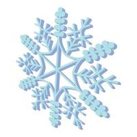 Snowflaked cartoon icon vector