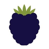 Blackberry flat icon vector