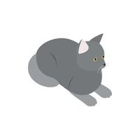 Grey cat icon, isometric 3d style vector