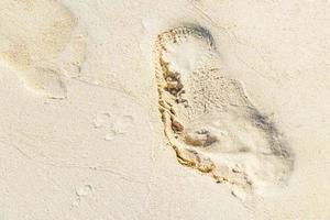 Footprint footprints on the beach sand by the water Mexico. photo