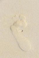 Footprint footprints on the beach sand by the water Mexico. photo